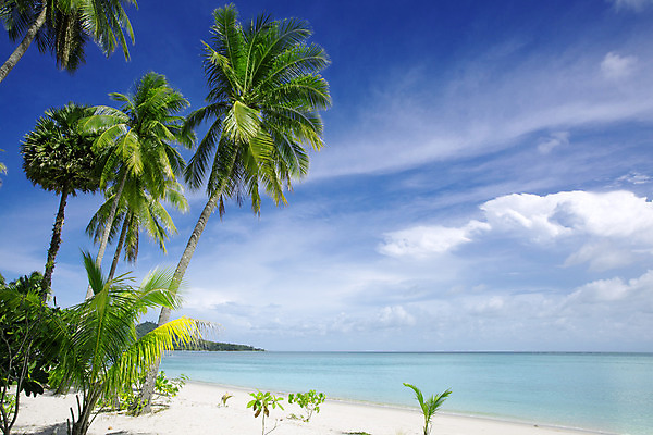 포토 JPG 해외이미지 식물 모래 파도 바다 섬 여행 하늘색 잎 태국 자연 휴가 휴식 손바닥 사람없음 태양 수영 침묵 기쁨 흰색 만 휴게실 선탠 크루즈 휴양지 몰디브 파라다이스 해외202004 해외포토 자연요소 손 감정 아시아 컬러 컨셉 배_교통 파란색 소리 장소 수상스포츠 생태계 파일형식 이미지허브