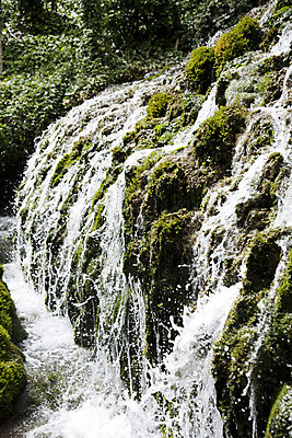 포토 JPG 해외이미지 나무 공원 벽 잎 자연 산 이끼 사람없음 강 폭포 흐름 개울 스페인 떨어짐 숲 제트기 아라곤 내추럴 해외202004 해외포토 식물 공공시설 유럽 컨셉 비행기 생태계 파일형식 이미지허브