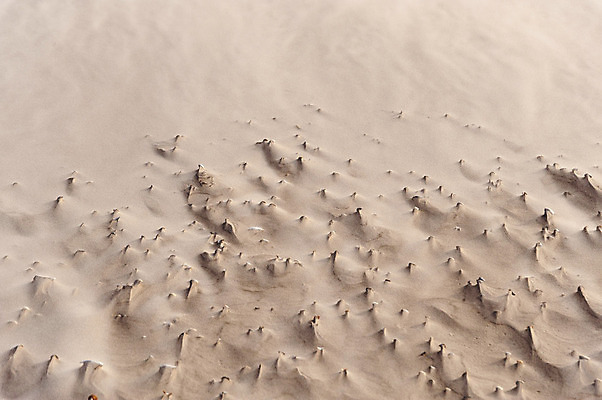 포토 JPG 해외이미지 건축물 호수 모래 바다 섬 백그라운드 패턴 자연 조개 독일 국립공원 풍경 사람없음 물 사막 껍질 모래언덕 부식 질감 홍합 해외202004 해외포토 자연요소 공원 건축 유럽 무늬 어패류 언덕 생태계 파일형식 이미지허브