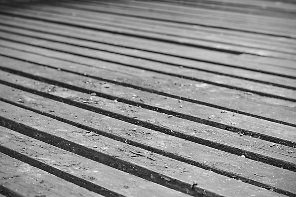 포토 JPG 해외이미지 나무 식물 템플릿 벽 조각 백그라운드 자연 탁자 표면 추상 바닥 사람없음 목재 빛 알약 갈색 우주 검은색 어둠 회색 수확 반지 시간 소나무 판넬 닫기 널 질감 매듭 목공예 나무껍질 내추럴 그런지 땅바닥 무료 수목 옛날 해외202004 해외포토 컬러 가구 무늬 농업 재료 장신구 모션 약 껍질 공예 생태계 파일형식 이미지허브