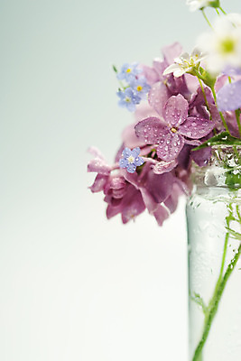 포토 JPG 해외이미지 식물 계절 꽃잎 꽃 분홍색 꽃다발 백그라운드 꽃무늬 자연 유리 탁자 선물 사랑 사람없음 장식 빨간색 물 여름 파란색 정원 꽃병 보라색 침묵 봄 벚꽃 흰색 축하 신선 우아함 자르기 다발 배열 허브 부드러움 라일락 내추럴 고립 해외202004 해외포토 자연요소 감정 컬러 가구 컨셉 무늬 모션 재질 소리 감각 생태계 파일형식 이미지허브