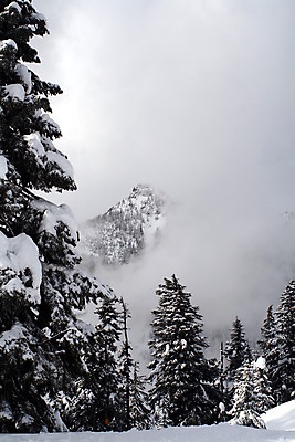 포토 JPG 해외이미지 나무 구름 여행 겨울 산 사람없음 야외 얼음 폭포 안개 상록수 해외202004 해외포토 자연요소 식물 계절 자연 날씨 파일형식 이미지허브