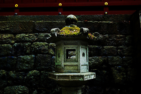 포토 JPG 해외이미지 식물 아시아 여행 자연 이끼 사람없음 초록색 관광지 빛 일본 고요 등불 내추럴 해외202004 해외포토 나라 컬러 조명 생태계 파일형식 이미지허브