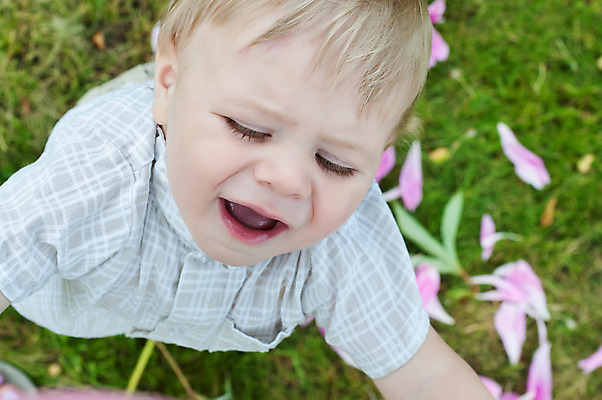 포토 JPG 해외이미지 백인 1 라이프스타일 공원 남자 꽃잎 얼굴 어린이 자연 놀이 한명 사람 소년 야외 초록색 여름 컬러풀 금발 맑음 흰색 표현 아기 작음 해외202004 해외포토 서양인 헤어스타일 계절 공공시설 꽃 컬러 날씨 생활 신체부위 크기 생태계 파일형식 이미지허브
