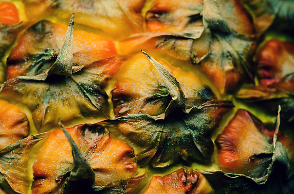 포토 JPG 해외이미지 식물 문화 음식 백그라운드 패턴 다이어트 오렌지 과일 자연 표면 디저트 귤 건강 사람없음 초록색 노란색 주스 껍질 신선 소나무 달콤 맛 먹기 피부 묘사 파인애플 오브젝트 상쾌 유기농 질감 날것 내추럴 숙성 이국적 해외202004 해외포토 나무 웰빙 감정 음료 컬러 컨셉 무늬 모션 신체부위 열대과일 생태계 파일형식 이미지허브