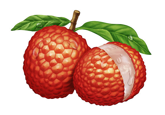 포토 JPG 해외이미지 식물 리플렛 잎 일러스트 자연 딸기 건강 경사 사람없음 빨간색 초록색 빛 주스 수확 물방울 신선 칼날 닫기 결과 건강식 내추럴 고립 광 사실 진실 해외202004 해외일러스트 음료 음식 컬러 컨셉 농업 과일 모션 생태계 파일형식 이미지허브