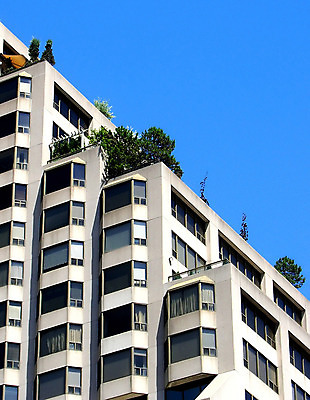 포토 JPG 해외이미지 나무 벽 캐나다 건축양식 창문 유리 하늘 지붕 주택 사람없음 건물 초록색 파란색 문 발코니 바위 도심 타일 생태계 타운 토론토 계약자 생태학 석고 콘크리트 해외202004 해외포토 식물 건축물 교육 건축 컬러 북아메리카 재질 돌_바위 도시 계약 파일형식 이미지허브