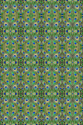 포토 JPG 해외이미지 동물 디자인 남자 야생동물 백그라운드 패턴 자연 조류 추상 사람없음 장식 초록색 파란색 컬러풀 활발 우아함 공작 깃털 묘사 질감 꼬리 내추럴 해외202004 해외포토 컬러 컨셉 무늬 사람 생태계 파일형식 이미지허브