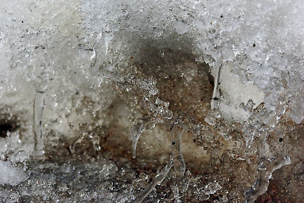 포토 JPG 해외이미지 디자인 계절 조각 백그라운드 겨울 패턴 자연 유리 표면 추상 사람없음 물 파란색 빛 냉동 얼음 봄 추위 백발 흰색 눈송이 소프트포커스 크리스탈 순수 질감 서식 서리 내추럴 반투명 블러 프로스팅 해외202004 해외포토 자연요소 헤어스타일 컬러 컨셉 무늬 재질 눈_날씨 촬영기법 광석 생태계 제빵 파일형식 이미지허브