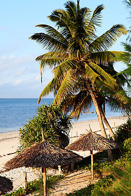 포토 JPG 해외이미지 나무 모래 바다 여행 하늘 휴가 사람없음 물 파란색 케냐 스카이라인 파라다이스 수평선 해외202004 해외포토 자연요소 식물 컬러 아프리카 파일형식 이미지허브