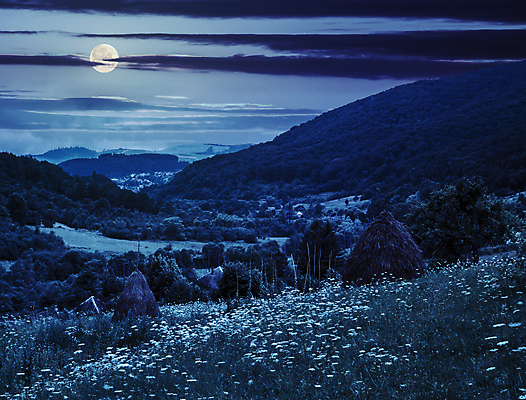 포토 JPG 해외이미지 구름 꽃밭 하늘 산 풍경 사람없음 야외 파란색 보름달 달 야간 해외202004 해외포토 자연요소 꽃 컬러 파일형식 이미지허브