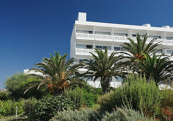 포토 JPG 해외이미지 나무 식물 외관 음식 섬 여행 백그라운드 잎 과일 건축양식 자연 하늘 호텔 휴가 주택 손바닥 풍경 사람없음 야외 건물 초록색 여름 파란색 햇빛 태양 맑음 흰색 나뭇가지 고급 다발 지중해 장면 해외202004 해외포토 사이프러스공화국 자연요소 건축물 손 계절 건축 유럽 바다 컬러 컨셉 숙소 날씨 생태계 파일형식 이미지허브