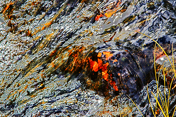 포토 JPG 해외이미지 주간 백그라운드 모션 자연 풍경 사람없음 야외 물 강 젖음 가을 개울 황금 해외202004 해외포토 자연요소 계절 생태계 파일형식 이미지허브