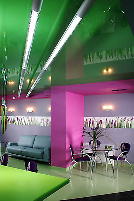 포토 JPG 해외이미지 모양 라이프스타일 디자인 벽 분홍색 가구 패턴 의자 건축양식 탁자 추상 조명 바닥 실내 사람없음 내부 장식 초록색 파란색 빛 소파 방 장비 램프 커튼 재산 고급 우아함 디자이너 안락의자 붓꽃 진짜 해외202004 해외포토 직업 건축 꽃 컬러 생활용품 컨셉 무늬 생활 금융 파일형식 이미지허브