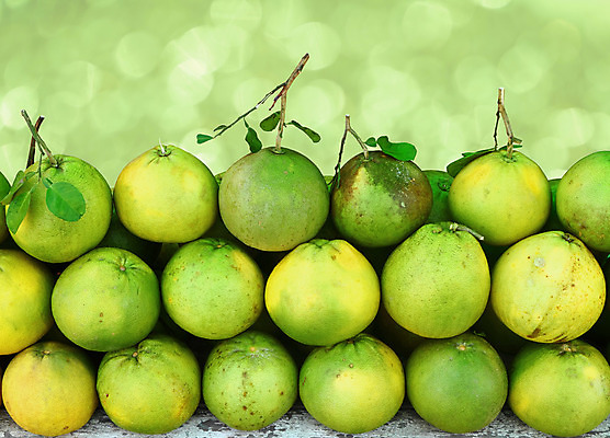 포토 JPG 해외이미지 음식 다이어트 과일 재료 자연 포도 디저트 귤 건강 사람없음 초록색 컬러풀 주스 활발 껍질 신선 원형 시장 달콤 맛 먹기 피부 묘사 상쾌 유기농 날것 내추럴 강렬 숙성 신맛 채식주의자 해외202004 해외포토 도형 웰빙 감정 음료 컬러 컨셉 모션 신체부위 생태계 채식 파일형식 이미지허브