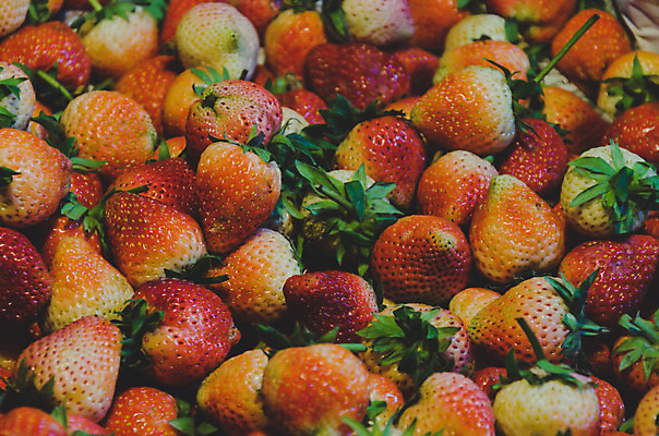 포토 JPG 해외이미지 식물 손 디자인 열매 음식 백그라운드 잎 패턴 농업 다이어트 과일 자연 딸기 디저트 건강 미술 사람없음 빨간색 초록색 여름 세트 농장 라벨 정원 수확 신선 신용카드 달콤 먹기 에코 유기농 질감 복고 아로마 내추럴 숙성 채식주의자 해외202004 해외포토 웰빙 계절 산업 컬러 무늬 모션 문화예술 프레임 신체부위 금융 환경 맛 생태계 채식 파일형식 이미지허브