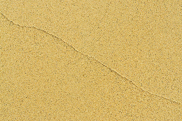 포토 JPG 해외이미지 모래 백그라운드 자연 사람없음 모래사장 갈색 노란색 줄무늬 사막 황금 질감 땅바닥 해외202004 해외포토 바다 컬러 무늬 바닥 생태계 파일형식 이미지허브