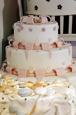 포토 JPG 해외이미지 꽃 결혼 사람없음 장식 케이크 조개껍데기 웨딩케이크 해외202004 해외포토 식물 조개 디저트 이벤트 파일형식 이미지허브