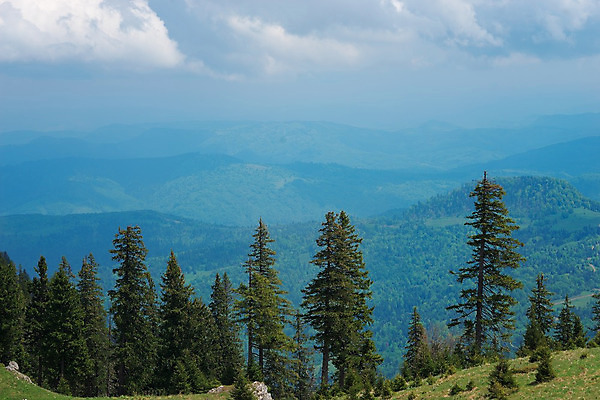 포토 JPG 해외이미지 나무 구름 공원 유럽 물결 스포츠 여행 백그라운드 모션 자연 휴가 산 안테나 풍경 사람없음 야외 목재 세로 초록색 물 여름 강 계단 환경 골짜기 계곡 봄 트래킹 폭포 하이킹 흐름 안개 가을 바위 신선 개울 황무지 은색 숲 그림 질감 탐사 동쪽 루마니아 내추럴 7 발칸반도 블러 트란실바니아 해외202004 해외포토 자연요소 식물 계절 공공시설 나라 컬러 컨셉 재료 통신 레저 날씨 숫자 돌_바위 방향 생태계 파일형식 이미지허브