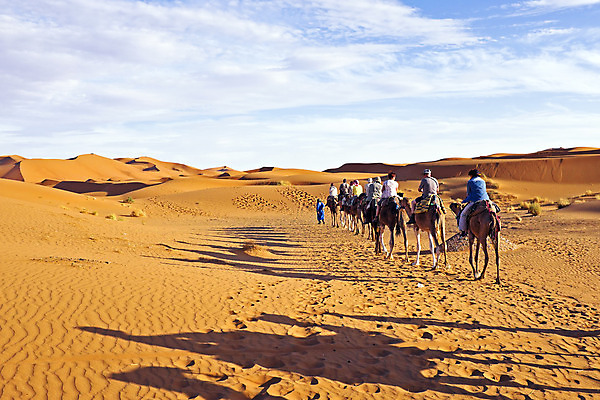 포토 JPG 해외이미지 동물 1 남자 모래 여행 포유류 교통시설 아프리카 자연 이집트 사람 사람없음 야외 여름 모래사장 태양 여행객 맑음 사막 뜨거움 거친 고독 모래언덕 사파리 낙타 아라비아 발가락 모로코 사하라 아랍에미리트 단봉낙타 아랍어 카라반 해외202004 해외포토 자연요소 계절 감정 나라 바다 교통 중동 발 날씨 언덕 시설 생태계 캠핑카 파일형식 이미지허브