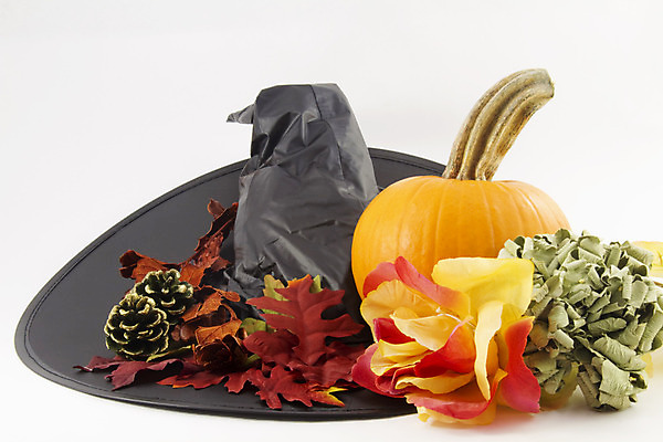 포토 JPG 해외이미지 계절 호박 사람없음 컬러풀 할로윈 수확 가을 해외202004 영광군 해외포토 컬러 농업 채소 전라남도 파일형식 이미지허브