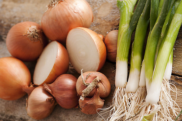 포토 JPG 해외이미지 음식 채소 재료 양파 요리 사람없음 갈색 신선 맛 유기농 파 생식 채식주의자 샬롯 해외202004 해외포토 웰빙 컬러 컨셉 채식 파일형식 이미지허브