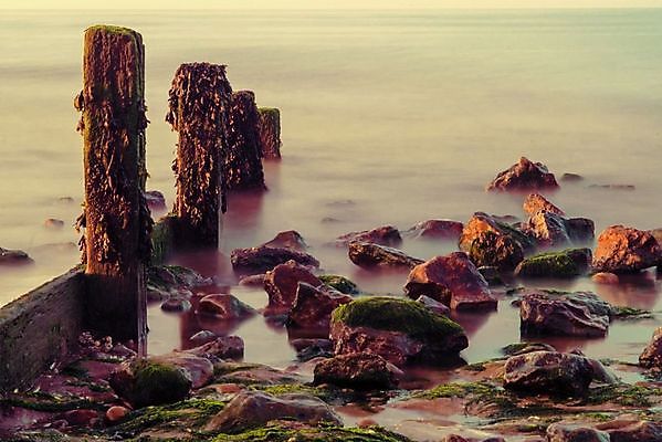 포토 JPG 해외이미지 모래 바다 섬 모션 조류 해변 사람없음 초록색 물 평화 황혼 일몰 조약돌 해조류 저녁 질감 장면 암초 내추럴 세이지 해일 해외202004 해외포토 자연요소 동물 컬러 컨셉 노을 돌_바위 해양식물 야간 자연재해 파일형식 이미지허브