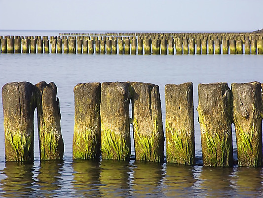 포토 JPG 해외이미지 모래 파도 바다 풍경 사람없음 물 해조류 방파제 폭풍 해외202004 해외포토 자연요소 공공시설 날씨 해양식물 파일형식 이미지허브