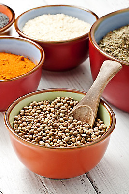 포토 JPG 해외이미지 음식 백그라운드 재료 파프리카 요리 씨앗 동양인 사람없음 양념 사발 고수 인도인 소금 먼지 깨 향 후추 땅바닥 시나몬 오레가노 해외202004 해외포토 외국인 식물 채소 식재료 바닥 인종 조미료 사기그릇 향신료 파일형식 이미지허브