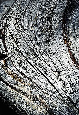 포토 JPG 해외이미지 나무 백그라운드 자연 벽지 날씨 추상 사람없음 목재 갈색 검은색 회색 소나무 원형 거친 균열 묘사 오브젝트 질감 잡동사니 내추럴 그런지 수목 옛날 해외202004 해외포토 도형 식물 컬러 무늬 재료 모션 생태계 파일형식 이미지허브