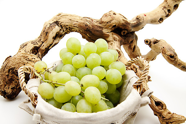 포토 JPG 해외이미지 음식 과일 포도 건강 사람없음 초록색 바구니 수확 나뭇가지 신선 맛 발사 먹기 흰배경 해외202004 해외포토 나무 컬러 백그라운드 컨셉 농업 모션 흰색 파일형식 이미지허브