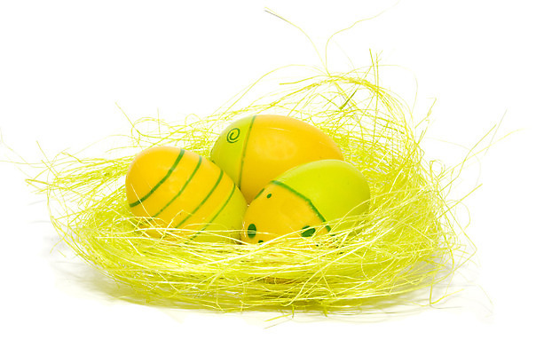 포토 JPG 해외이미지 휴가 부활절 3 사람없음 초록색 노란색 봄 둥지 해외202004 해외포토 계절 기념일 컬러 파일형식 이미지허브