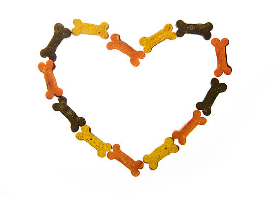 포토 JPG 해외이미지 스튜디오촬영 모양 컨셉 뼈 프레임 사랑 사람없음 갈색 하트 흰배경 윤곽 고립 카피스페이스 해외202004 해외포토 감정 컬러 백그라운드 실내 공백 흰색 파일형식 이미지허브