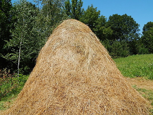 포토 JPG 해외이미지 디자인 백그라운드 패턴 자연 탁자 표면 추상 바닥 사람없음 목재 갈색 판넬 널 낟알 질감 수목 옛날 파케트 해외202004 해외포토 나무 컬러 가구 무늬 재료 생태계 파일형식 이미지허브