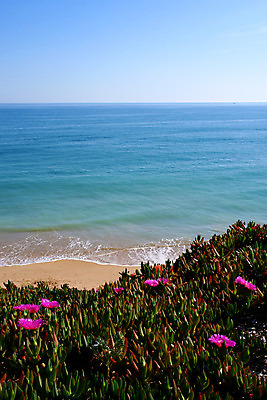 포토 JPG 해외이미지 구름 유럽 모래 파도 바다 여행 자연 하늘 휴가 따뜻함 풍경 사람없음 야외 물 여름 파란색 평화 맑음 거품 바위 포르투갈 언덕 장면 암초 대서양 내추럴 터키석 해외202004 해외포토 자연요소 계절 나라 컬러 컨셉 날씨 돌_바위 보석 생태계 파일형식 이미지허브