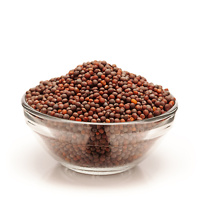 포토 JPG 해외이미지 그릇 사람없음 흰색 낟알 향신료 겨자씨 해외202004 해외포토 식기 컬러 씨앗 향미료 파일형식 이미지허브