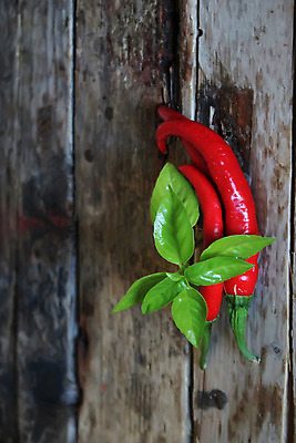 포토 JPG 해외이미지 식물 음식 백그라운드 채소 재료 자연 벽지 고추 탁자 사람없음 목재 빨간색 초록색 활발 추위 신선 뜨거움 조미료 허브 향신료 유기농 매움 아로마 후추 바질 그런지 숙성 해외202004 해외포토 나무 웰빙 컬러 가구 컨셉 맛 생태계 향미료 파일형식 이미지허브