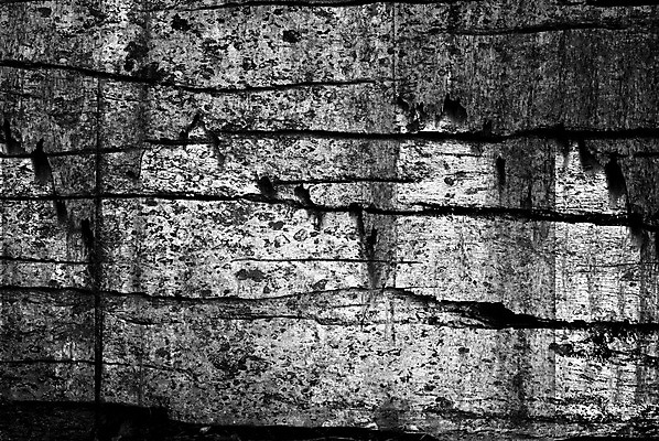 포토 JPG 해외이미지 전통 벽 분홍색 조각 백그라운드 패턴 벽지 표면 추상 벽돌 주택 돌담 사람없음 검은색 어둠 힘 블록 도시 저녁 건축가 무서움 질감 시멘트 점토 직사각형 헛간 고체 구식 그런지 옛날 줄서기 지속성 콘크리트 해외202004 해외포토 도형 직업 감정 컬러 무늬 모션 건물 담장 돌_바위 야간 저장고 파일형식 이미지허브