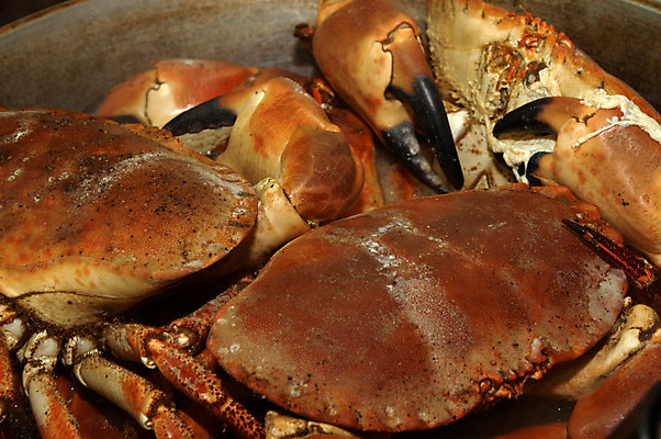 포토 JPG 해외이미지 음식 바다 재료 조개 갑각류 요리 사람없음 껍질 신선 해산물 준비 삶기 집게발 해외202004 해외포토 동물 어패류 파일형식 이미지허브