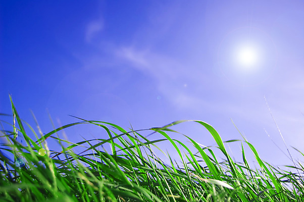 포토 JPG 해외이미지 식물 구름 계절 공원 밭 자연 하늘 날씨 풍경 잔디 사람없음 야외 초록색 여름 파란색 컬러풀 햇빛 태양 농장 환경 맑음 봄 흰색 신선 땅 내추럴 밭일 수평선 해외202004 해외포토 자연요소 공공시설 컬러 농업 생태계 파일형식 이미지허브