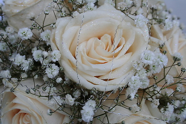 포토 JPG 해외이미지 디자인 커플 꽃 꽃다발 결혼 백그라운드 꽃무늬 일러스트 결혼식 휴가 사랑 미술 사람없음 장식 장미 흰색 축하 우아함 약혼 해외202004 해외포토 식물 감정 컬러 컨셉 무늬 관계 문화예술 이벤트 약속 파일형식 이미지허브