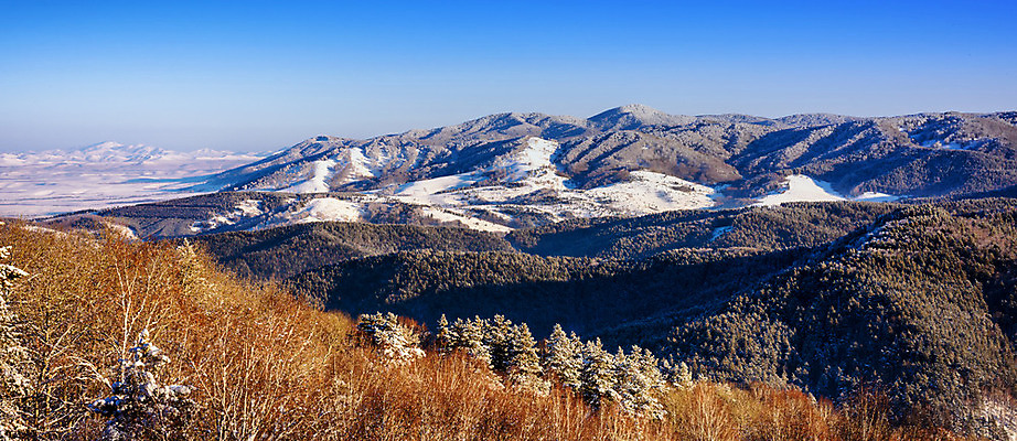 포토 JPG 해외이미지 나무 여행 겨울 하늘 파노라마 풍경 사람없음 파란색 숲 언덕 스카이라인 해외202004 해외포토 식물 계절 컬러 촬영기법 파일형식 이미지허브