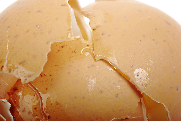 포토 JPG 해외이미지 동물 음식 백그라운드 재료 아침 부활절 건강 요리 사람없음 빛 갈색 노란색 계란 식사 치킨 손상 껍질 가을 흰색 신선 액체 균열 아침식사 상품 사건 오브젝트 싱글 날것 노른자 내추럴 고립 골절 깨짐 단백질 취급주의 해외202004 해외포토 주간 계절 기념일 컬러 컨셉 의학 모션 경고 알 닭고기요리 영양소 파일형식 이미지허브