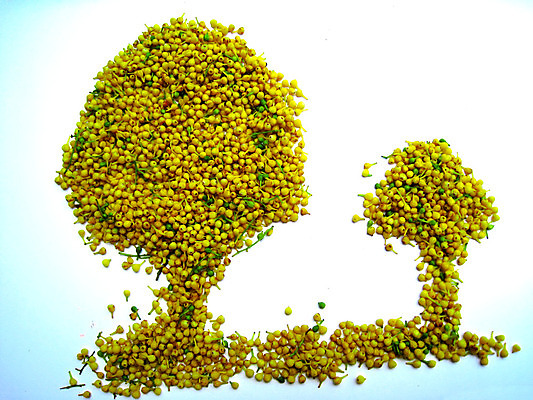 포토 JPG 해외이미지 식물 계절 꽃 분홍색 백그라운드 꽃무늬 일러스트 자연 수채화 사람없음 빨간색 여름 노란색 머리 정원 봄 벚꽃 흰색 신선 데이지 거베라 내추럴 고립 해외202004 해외포토 컬러 무늬 신체부위 생태계 파일형식 이미지허브