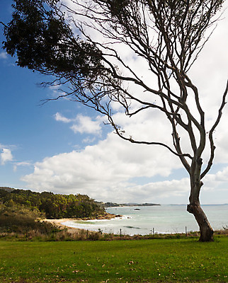 포토 JPG 해외이미지 모래 파도 바다 자연 아침 휴가 풍경 사람없음 세로 물 여름 파란색 항구 만 호주 해외202004 해외포토 주간 자연요소 계절 컬러 교통시설 오세아니아 생태계 파일형식 이미지허브