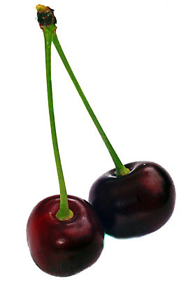 포토 JPG 해외이미지 계절 열매 음식 줄기 백그라운드 2 농업 과일 자연 디저트 함께함 건강 사람없음 빨간색 여름 빛 정원 주스 흰색 나뭇가지 신선 쌍 체리 달콤 맛 먹기 유기농 날것 내추럴 고립 숙성 채식주의자 비건 해외202004 해외포토 나무 식물 웰빙 산업 음료 컬러 컨셉 모션 생태계 채식 파일형식 이미지허브