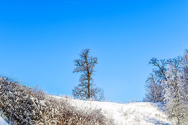 포토 JPG 해외이미지 나무 디자인 계절 공원 여행 백그라운드 크리스마스 겨울 자연 하늘 날씨 풍경 사람없음 야외 목재 파란색 빛 햇빛 태양 일출 맑음 냉동 얼음 일몰 새벽 추위 백발 흰색 나뭇가지 숲 12월 질감 서리 장면 북쪽 자작나무 1월 폭설 눈내림 해외202004 해외포토 자연요소 식물 헤어스타일 공공시설 기념일 컬러 재료 눈_날씨 노을 날짜 자연재해 방향 생태계 파일형식 이미지허브