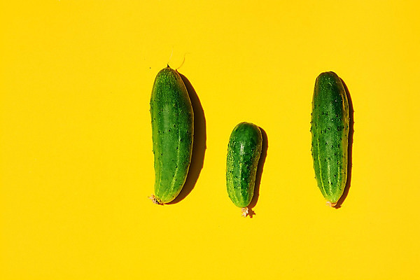 포토 JPG 해외이미지 식물 디자인 음식 백그라운드 컨셉 패턴 농업 다이어트 채소 재료 자연 오이 건강 사람 사람없음 초록색 화장품 수확 신선 농부 먹기 오브젝트 유기농 원예 건강식 내추럴 노란배경 밭일 숙성 전용 채식주의자 카피스페이스 비건 해외202004 해외포토 직업 웰빙 산업 컬러 무늬 모션 취미 뷰티 노란색 공백 생태계 채식 파일형식 이미지허브