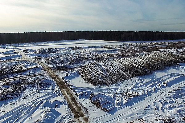 포토 JPG 해외이미지 나무 식물 산업 도로 백그라운드 겨울 비즈니스 자연 사람없음 목재 갈색 세일 쌓기 환경 중국 수확 시골 제조 상품 숲 자르기 목수 유기농 날것 러시아 통나무 나무껍질 연료 수납 자원 잡동사니 유지 방앗간 벌목 부정부패 생태학 수목 시베리아 해외202004 해외포토 직업 웰빙 계절 교육 유럽 아시아 길 컬러 농업 재료 교통시설 모션 껍질 생태계 파일형식 이미지허브