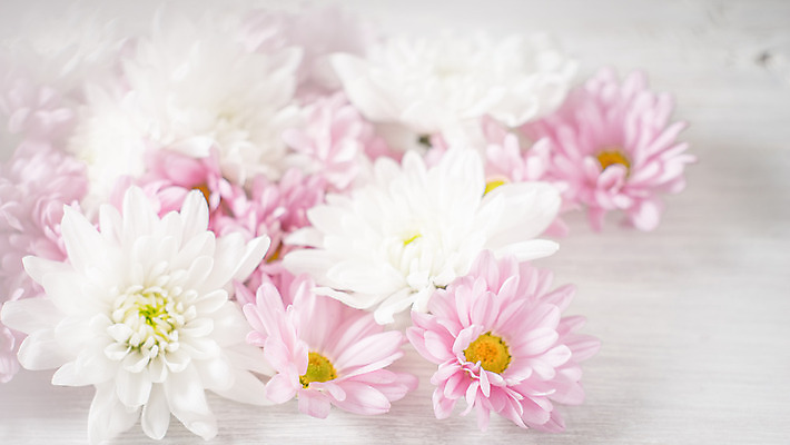 포토 JPG 해외이미지 식물 꽃잎 꽃 분홍색 백그라운드 자연 탁자 휴가 사람없음 목재 장식 가로 여름 노란색 안개 벚꽃 흰색 소프트포커스 필름 스크래치 모음 블러 필터 해외202004 해외포토 나무 계절 컬러 가구 재료 날씨 촬영기법 생태계 파일형식 이미지허브